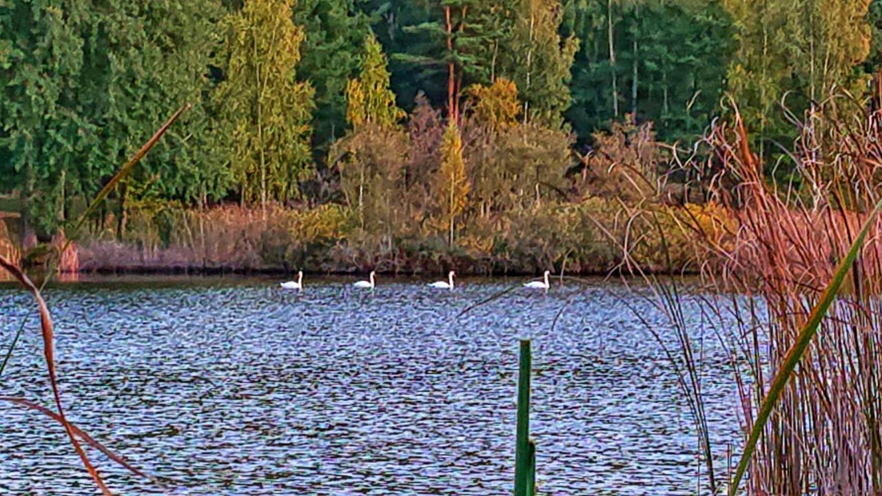 Готель Pensiunea Lacul Mocearu Budesti  Екстер'єр фото